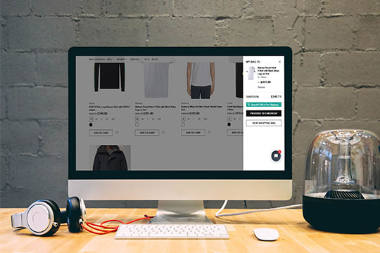 E-Commerce  Website  for  Clothing  &  Accessories | Techscooper