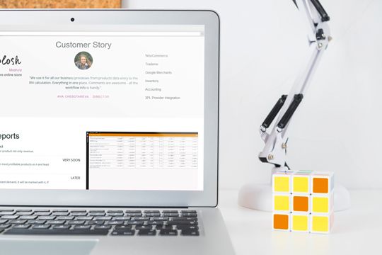 Flow2b | Business Website | Techscooper
